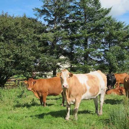 Burren Glamping Alojamento de Turismo Rural Kilfenora