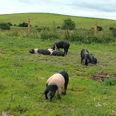Farm stay Burren Glamping