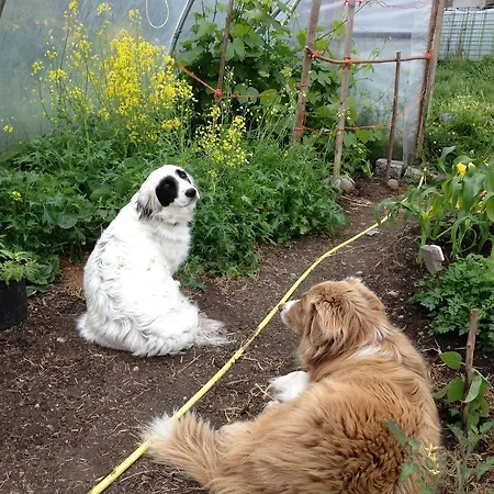 Burren Glamping Alojamento de Turismo Rural Kilfenora