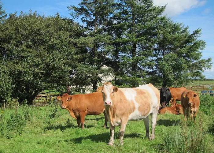 Burren Glamping Alojamento de Turismo Rural Kilfenora