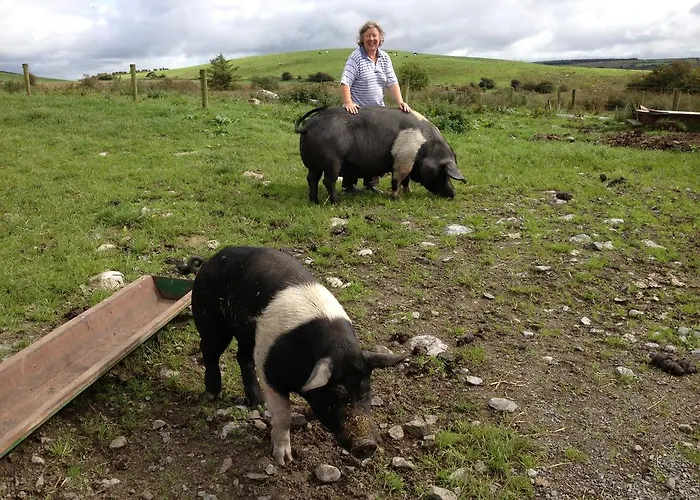 Alojamento de Turismo Rural Burren Glamping