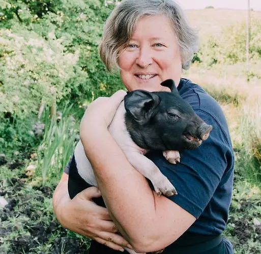 Alojamento de Turismo Rural Burren Glamping *