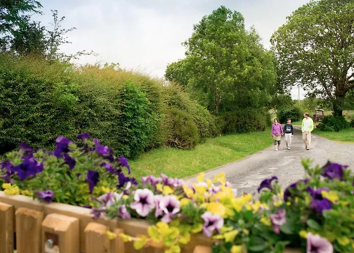 Alojamento de Turismo Rural Burren Glamping