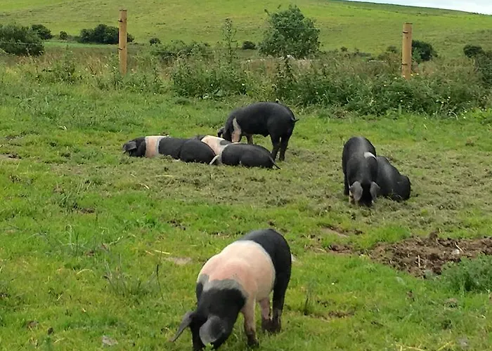 Alojamento de Turismo Rural Burren Glamping