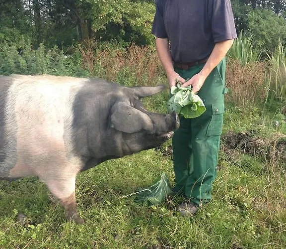 Burren Glamping Alojamento de Turismo Rural Kilfenora