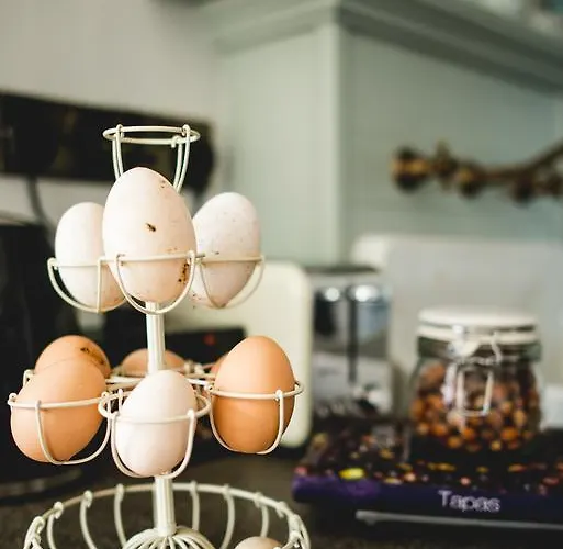 Burren Glamping Alojamento de Turismo Rural *