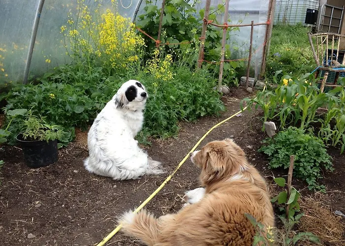 Burren Glamping Alojamento de Turismo Rural Kilfenora